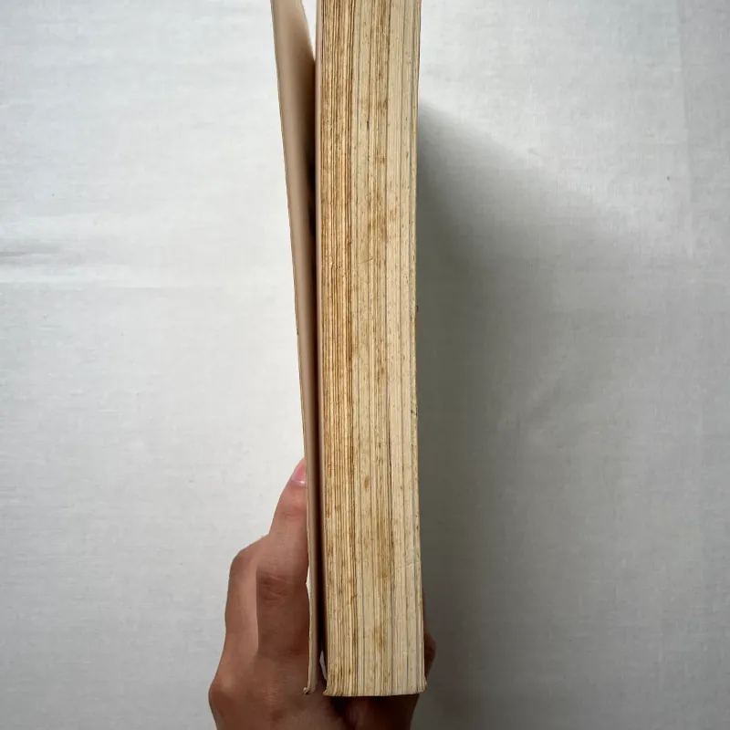 488 Rules for Life: The Thankless Art of Being Correct - Kitty Flanagan 1028874