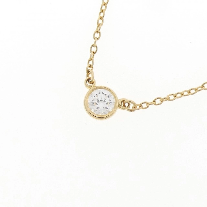 Dây chuyền Tiffany By The Yard - Hàng hiệu Authentic 842306