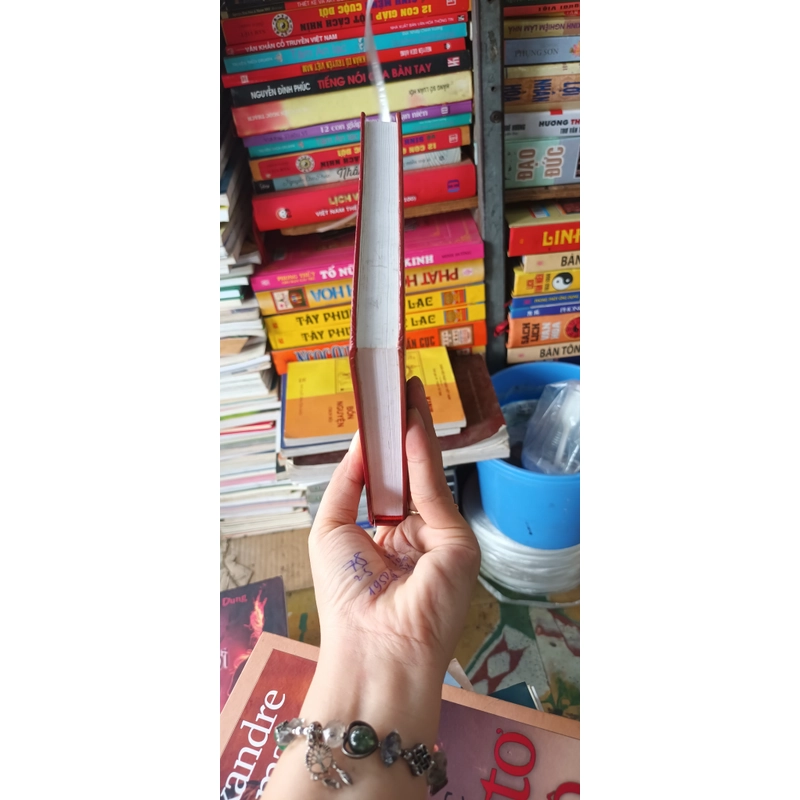 Đồi Gió Hú- Emily Bronti Bản Dịch Của Dương Tường 540056