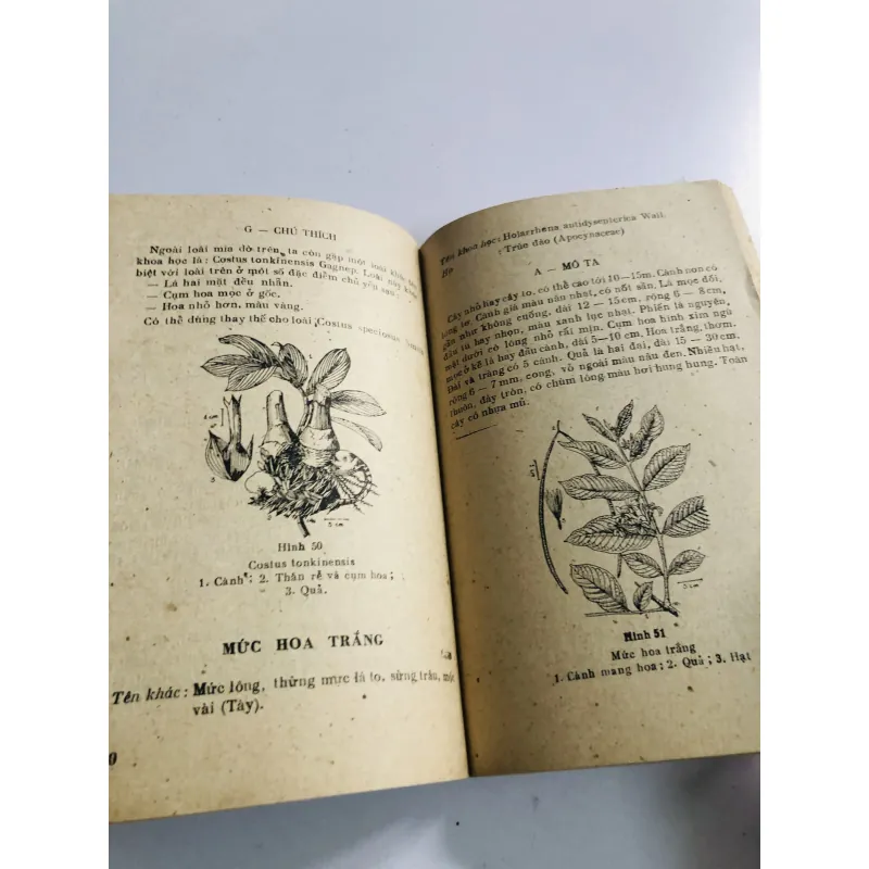 HƯỚNG DẪN BẢO VỆ – TÁI SINH – KHAI THÁC DƯỢC LIỆU 1978 796527