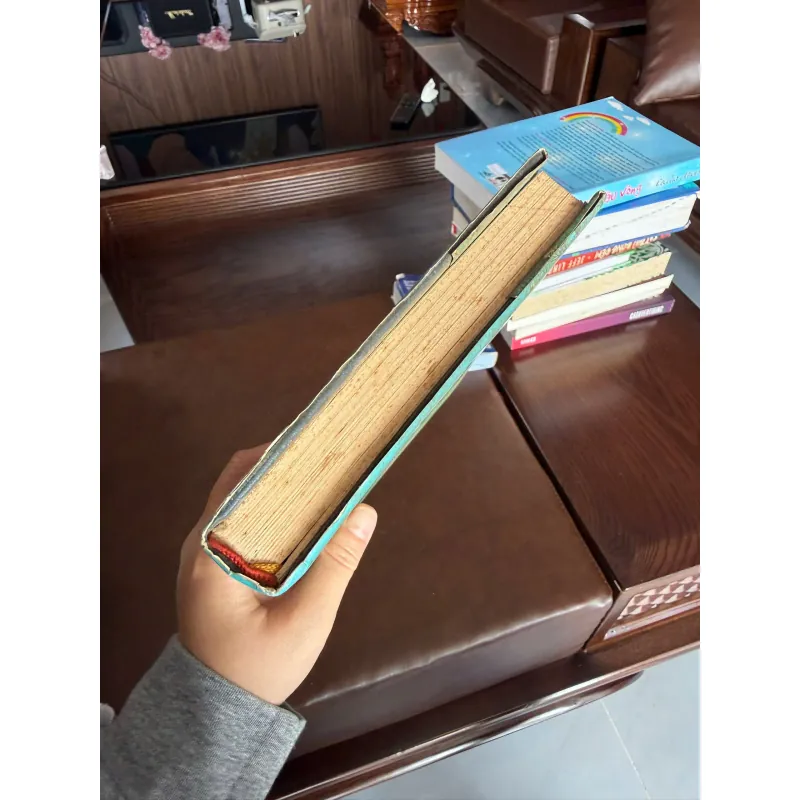 Sơn Nam – Dạo Chơi Tuổi Già | Tản văn Nam Bộ sâu sắc, mộc mạc- 994705
