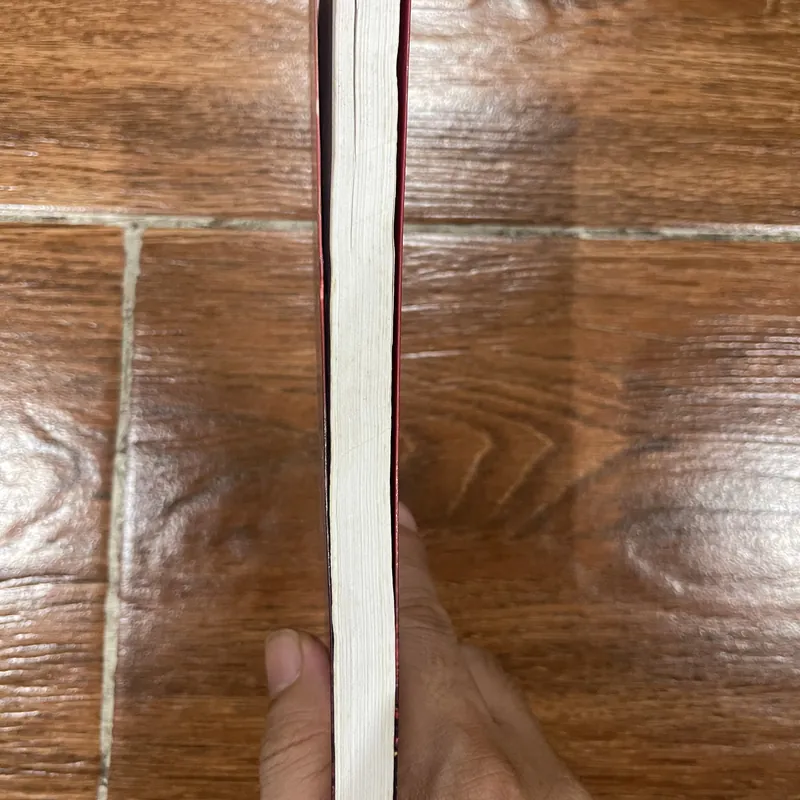 Mưa ở kiếp sau - Đoàn Minh Phượng (15) 570554