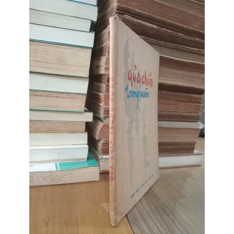 Quả chín trong vườn 783641