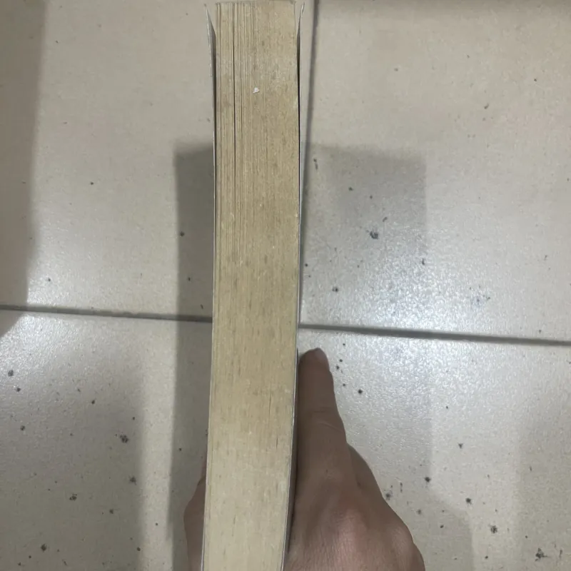 The Kite Runner - Khaled Hosseini  (c47) 995627