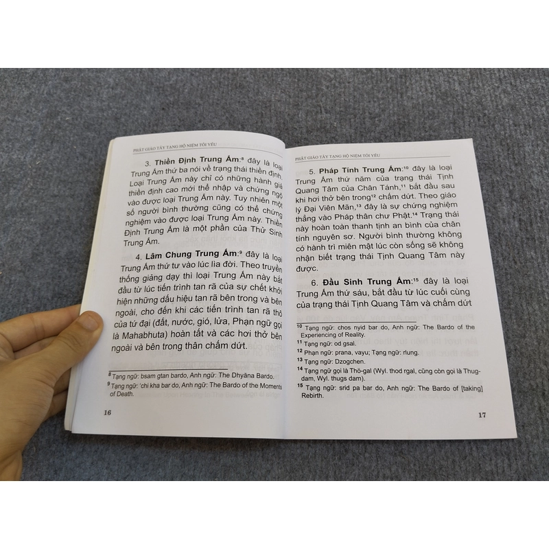 PHẬT GIÁO TÂY TẠNG HỘ NIỆM TỐI YẾU 485337