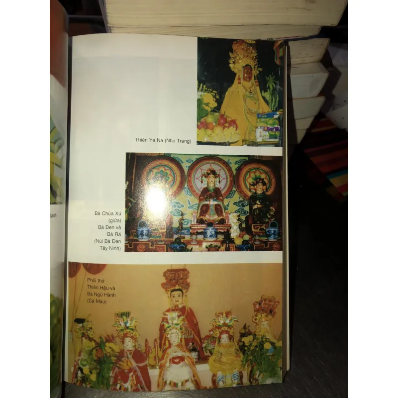 Lên đồng - Hành trình của thần linh và thân phận - Ngô Đức Thịnh 933211