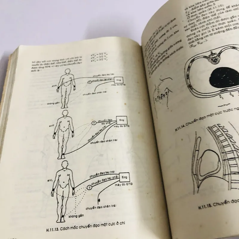 THỰC TẬP HOÁ SINH Y HỌC  675231
