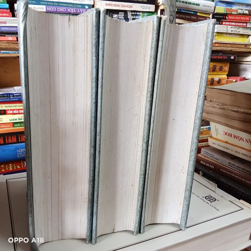 Mình Thực Lục trọn bộ 3 tập 569847