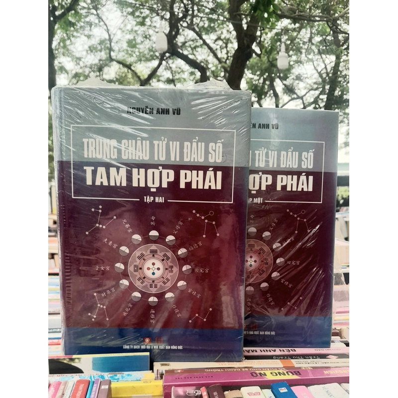 TRUNG CHÂU TỬ VI ĐẨU SỐ TAM HỢP PHÁI 384797