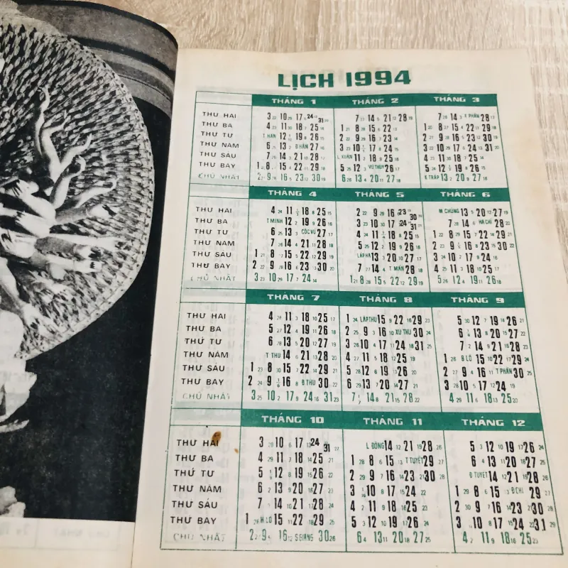 VĂN HOÁ VIỆT NAM 1989 - 1995 970546