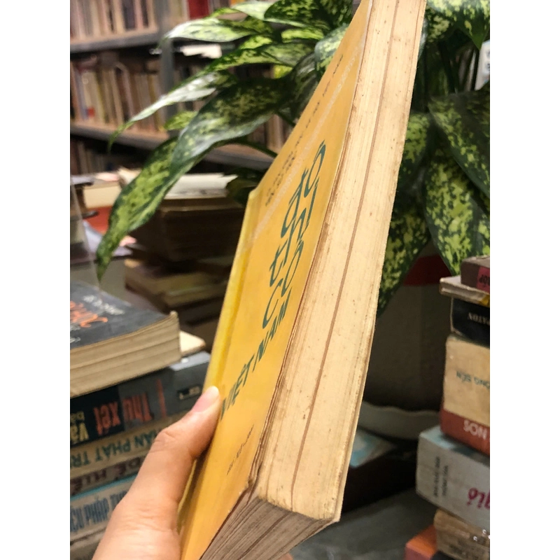 ĐÔ THỊ CỔ VIỆT NAM 451714