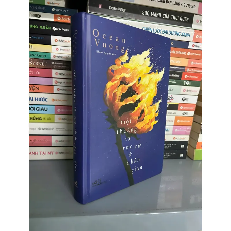 MỘT THOÁNG TA RỰC RỠ Ở NHÂN GIAN - BÌA CỨNG 560624