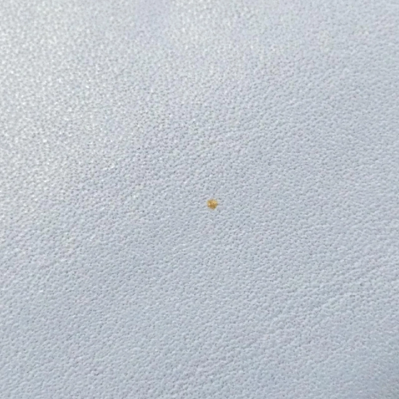 Túi đeo vai Coach 53404 611242