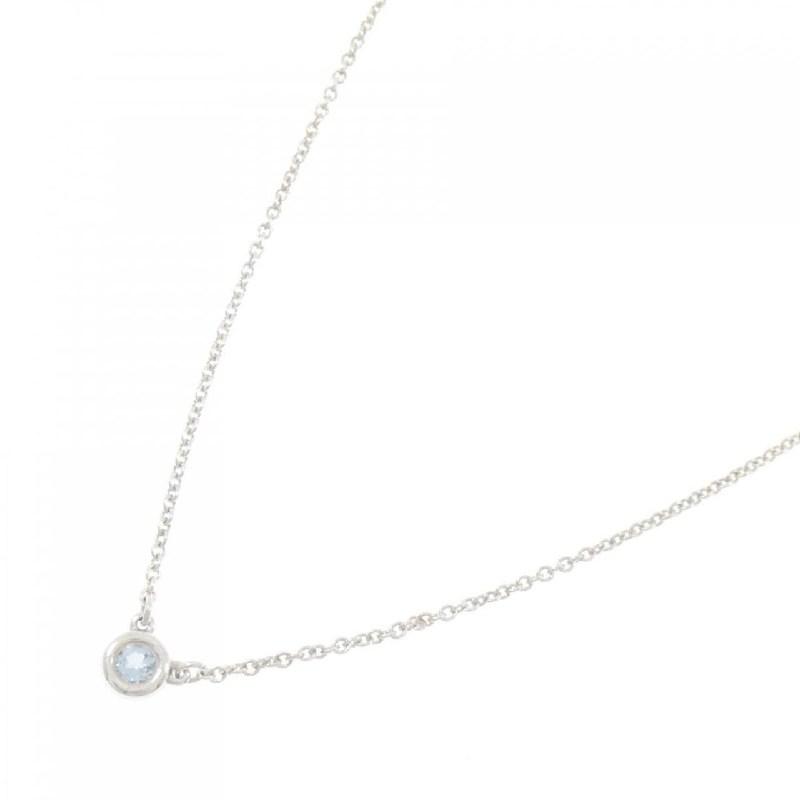 Dây chuyền Tiffany By The Yard - Hàng hiệu Authentic 842248