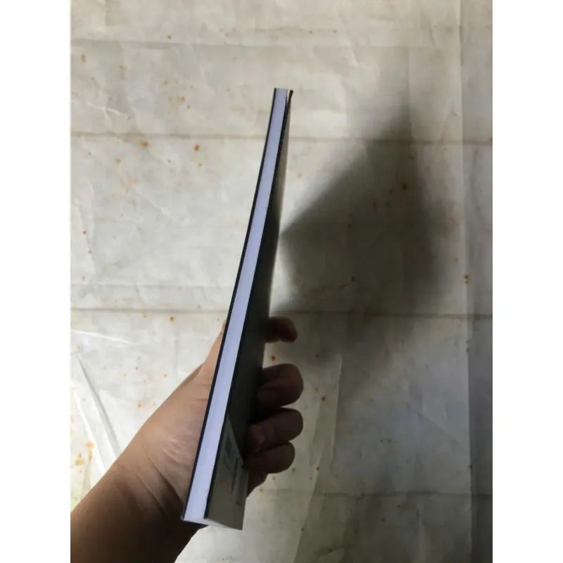 Hồi Ức Về Những Cô Gái Điếm Buồn Của Tôi - Gabriel Garcia Marquez 900610