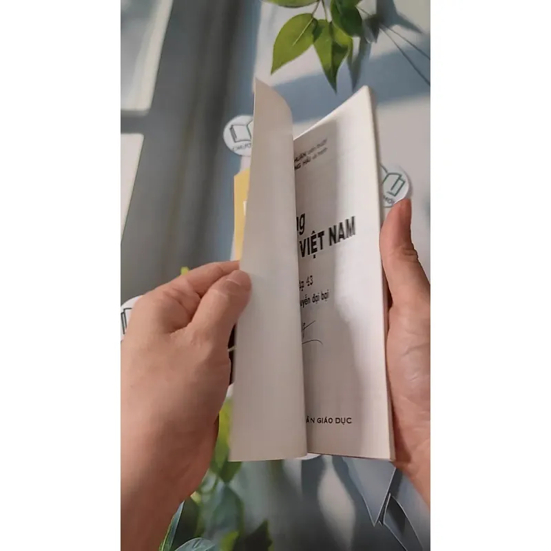 Theo Dòng Lịch Sử Việt Nam - Triều Nguyễn Đại Bại 43 - Lý Thái Thuận 970239