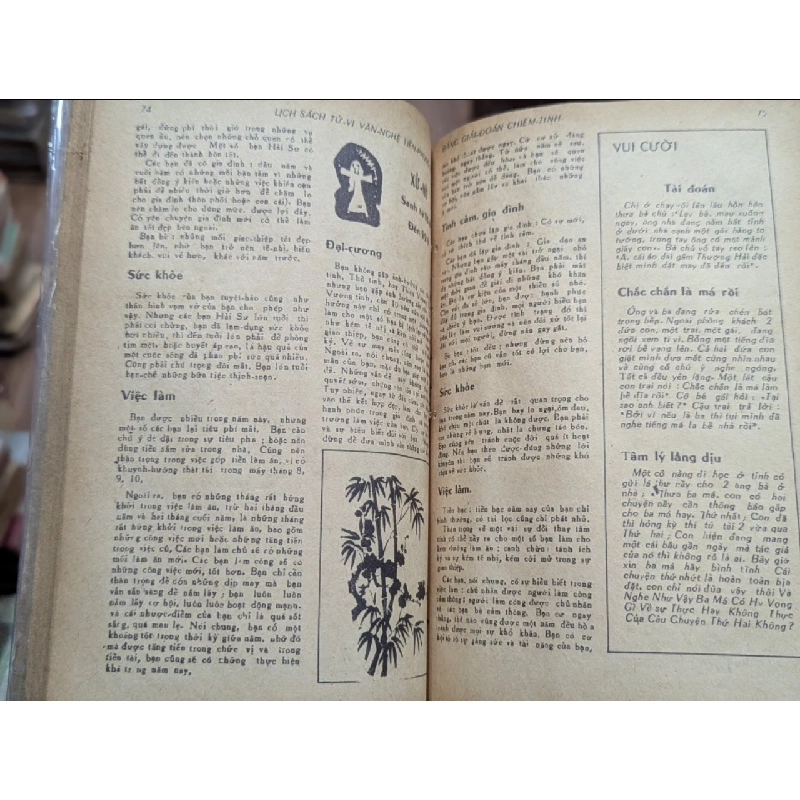 Lịch sách tử vi quý sửu 1973 125749