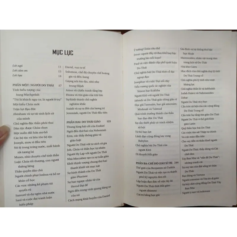 LỊCH SỬ DO THÁI - ĐẶNG VIỆT VINH dịch 711589