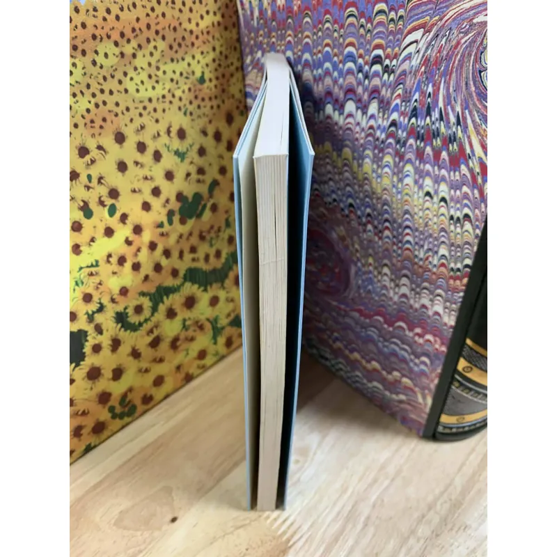 Thư Tình - Iwai Shunji 760492