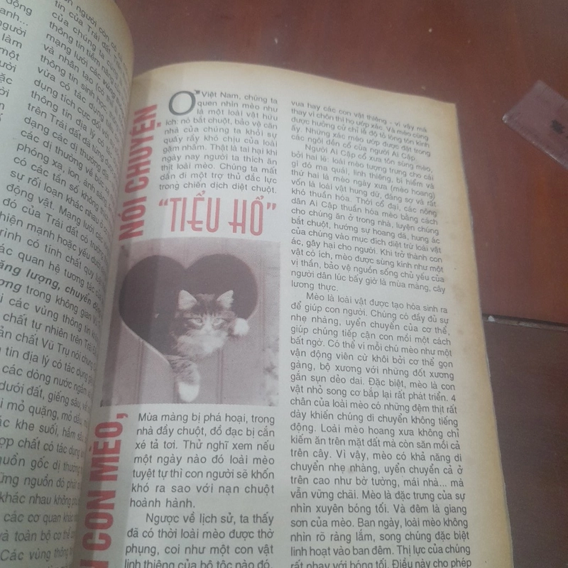 TRI THỨC TRẺ số 43 tháng 1-1999 CHÀO XUÂN MỚI 477261