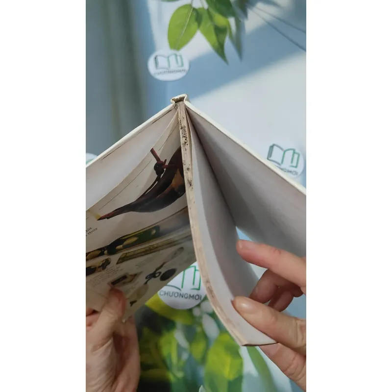 Phát Minh, Sáng Chế - Khoa Học, Kỹ Thuật: Ánh Sáng - David Burnie 750735