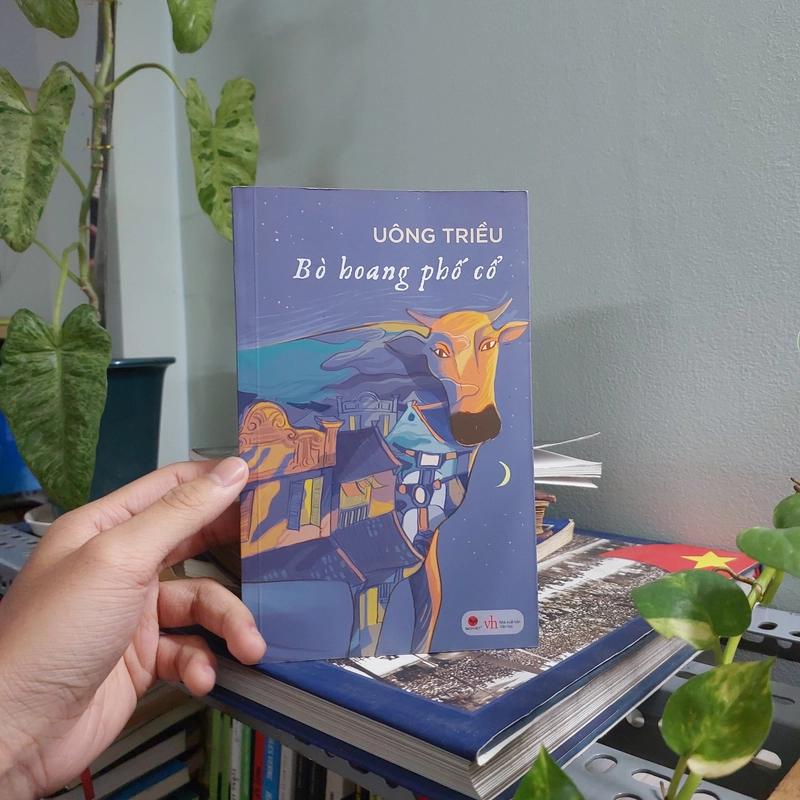 BỎ HOANG PHỐ CỔ 504544