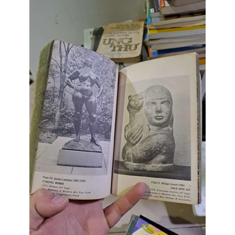 Modern American Painting and Sculpture by Sam Hunter mới 70% ố rách bìa 1962 ENGLISH BOOKS HCM2908 922534