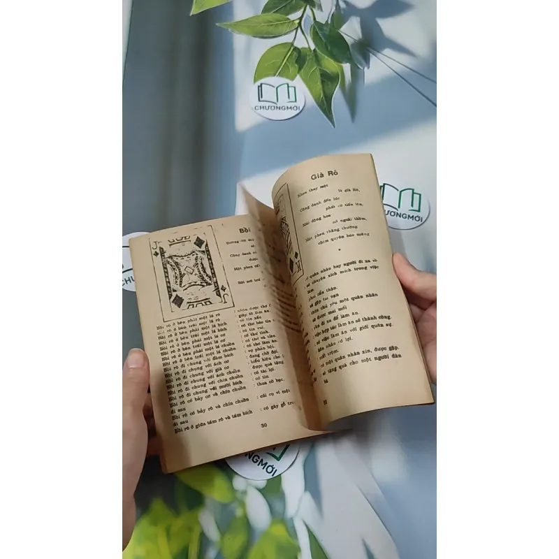 [XƯA] Bói Bài - Xem Sự Thành Bại Trên Đường Đời (1970) - Huỳnh Liên Tử 775994