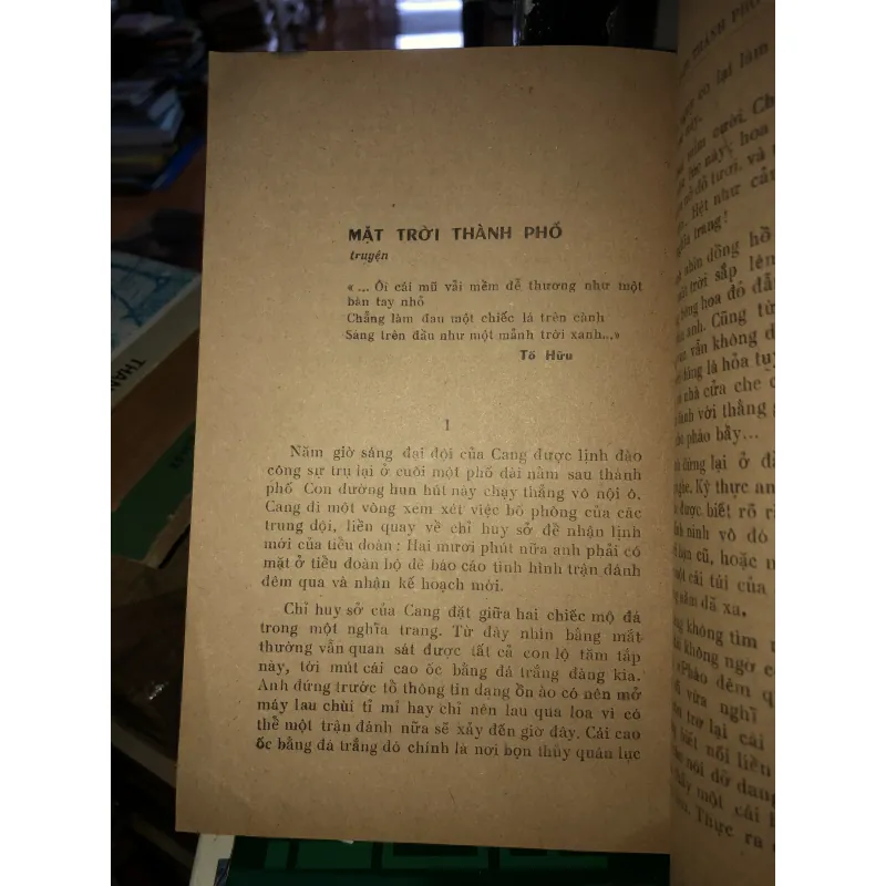 Mùa nấm tràm - Đinh Quang Nhã 787616