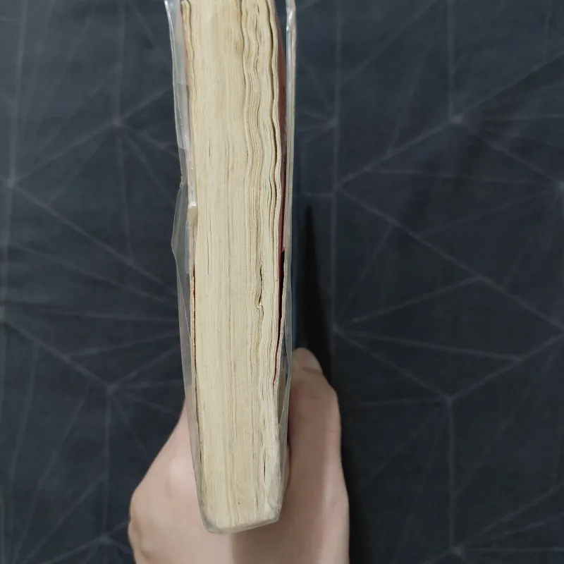 "Người lạ trong gương" - Sidney Seldon 1019928