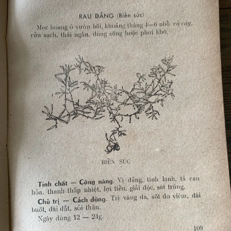 Thuốc nam và châm cứu, Viện Đông Y, in năm 1976 929996