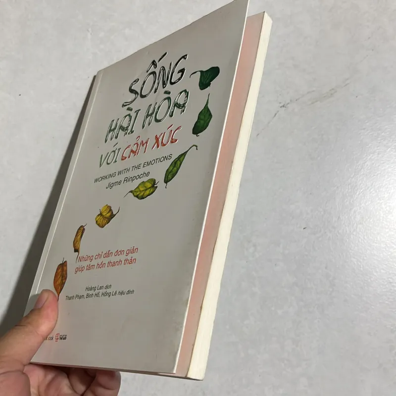 Sống hài hoà với cảm xúc - Jigme Rinpoche 589616