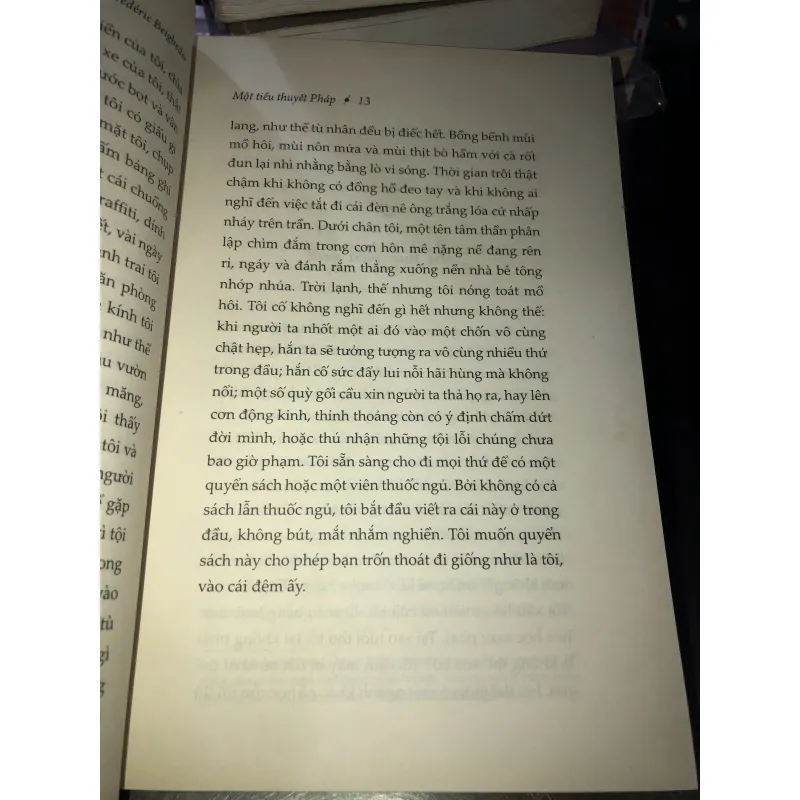 Một tiểu thuyết pháp - Frédéric Beigbeder  1021384