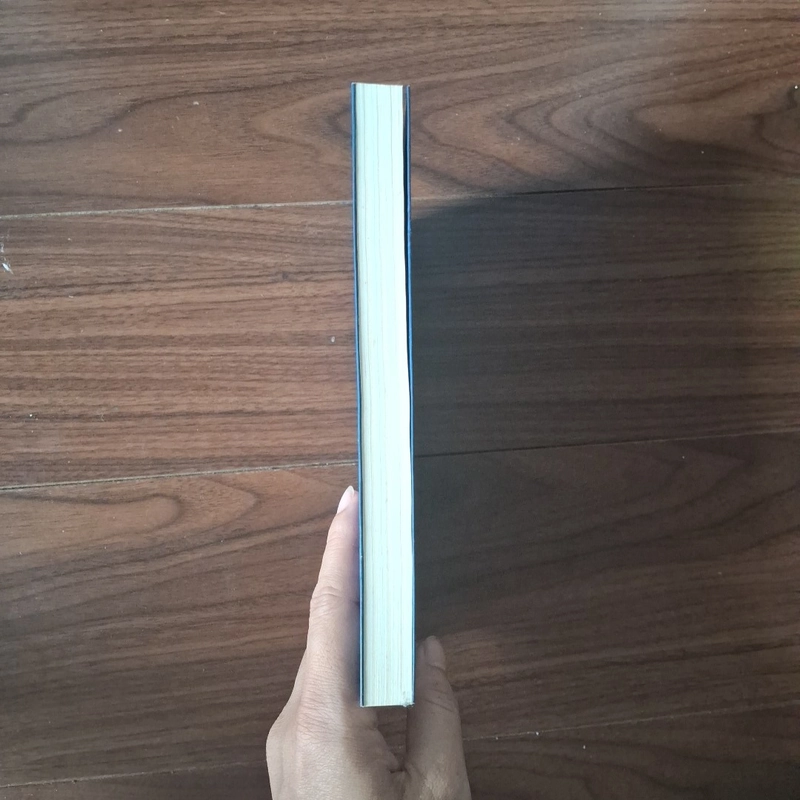 Bướm đuôi nhạn 525708