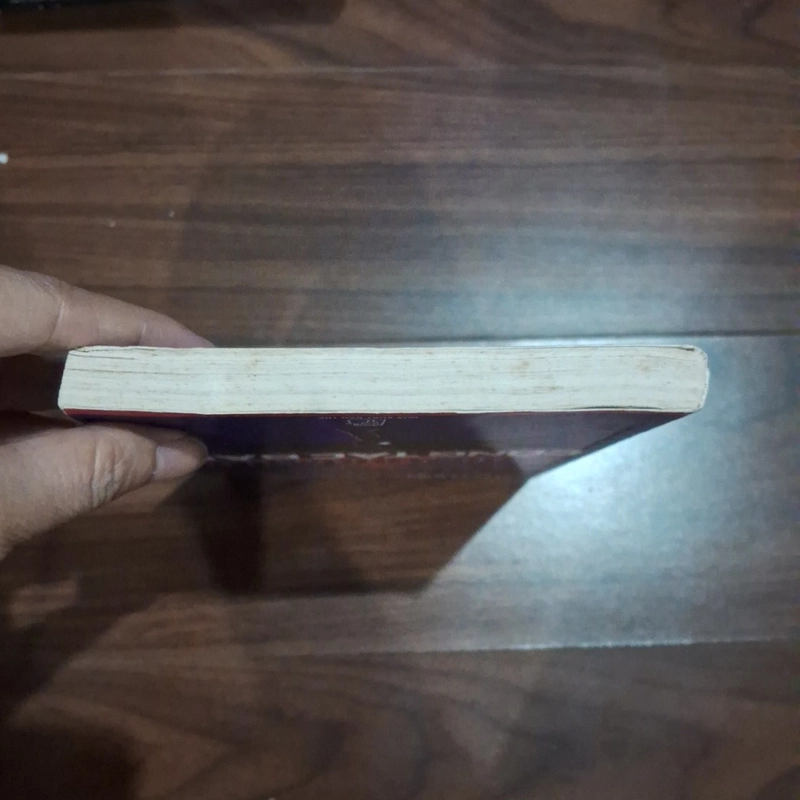 Công tắc bão 526314