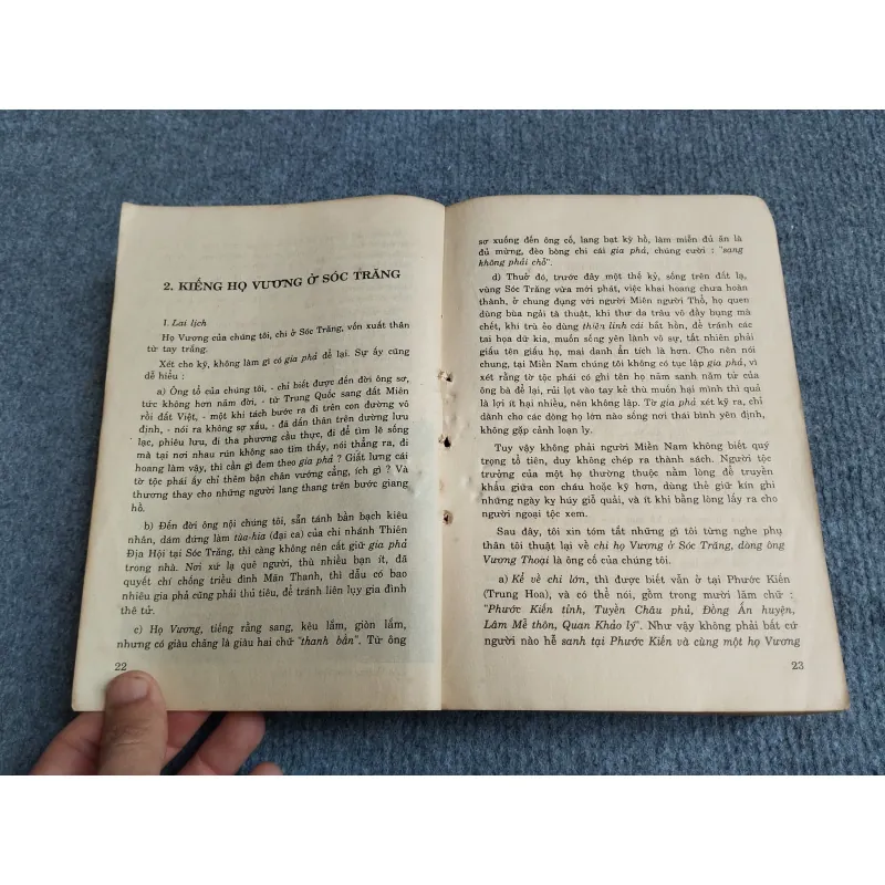 HƠN NỬA ĐỜI HƯ - VƯƠNG HỒNG SỂN 701931