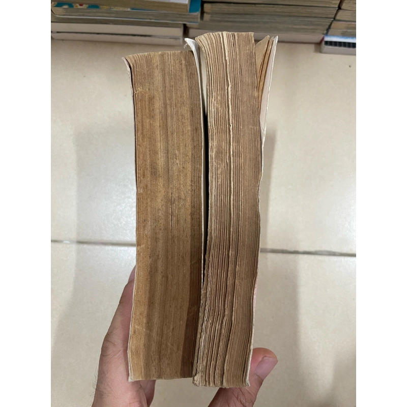 Nông thôn Việt Nam trong lịch sử bộ 2 tập (k19) 517928