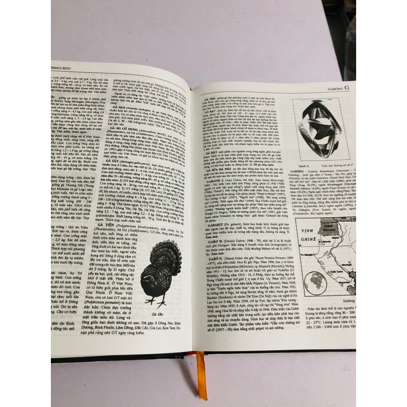📚 TỪ ĐIỂN BÁCH KHOA VIỆT NAM – TẬP 2 539013