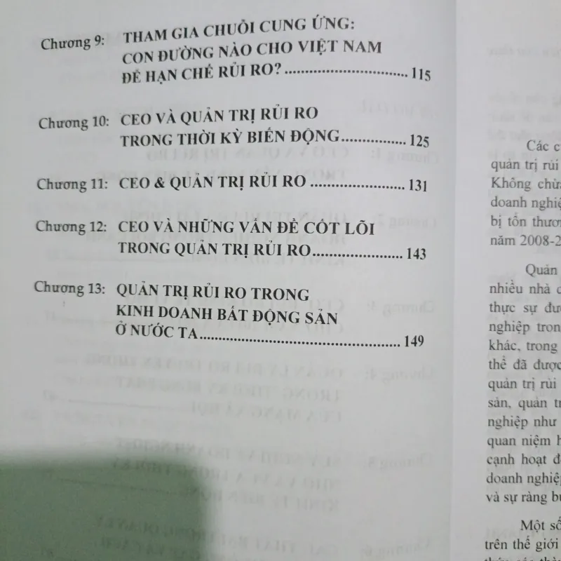 CEO VÀ QUẢN TRỊ RỦI RO  754300
