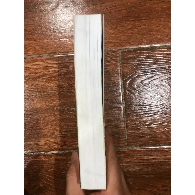 Mùa thu đức 1989 - Egon Krenz (k4) 459083