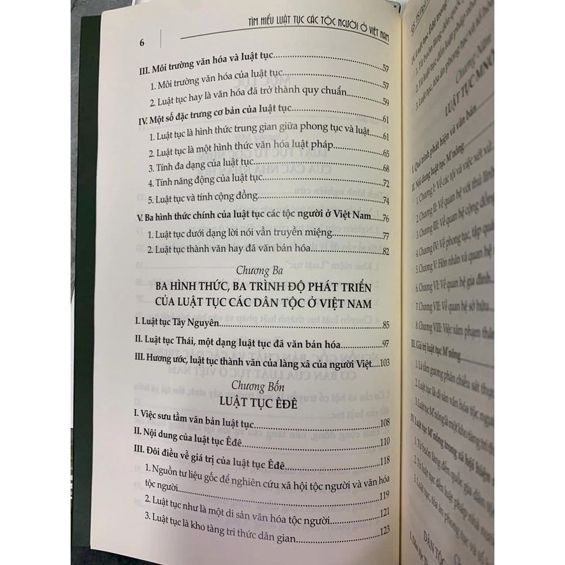 TÌM HIỂU LUẬT TỤC CÁC TỘC NGƯỜI Ở VIỆT NAM - NGÔ ĐỨC THỊNH 542725