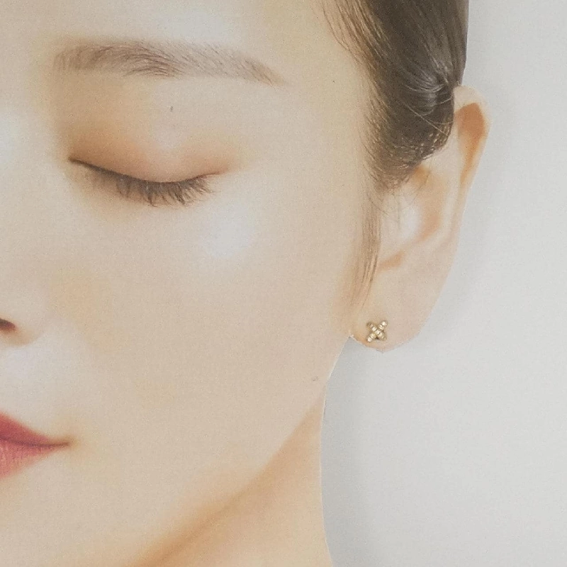 Bông tai thêu chéo Tiffany - Hàng hiệu Authentic 843607