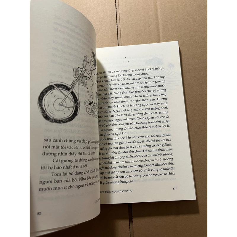 Đu đưa trên ngọn cây bàng 524495