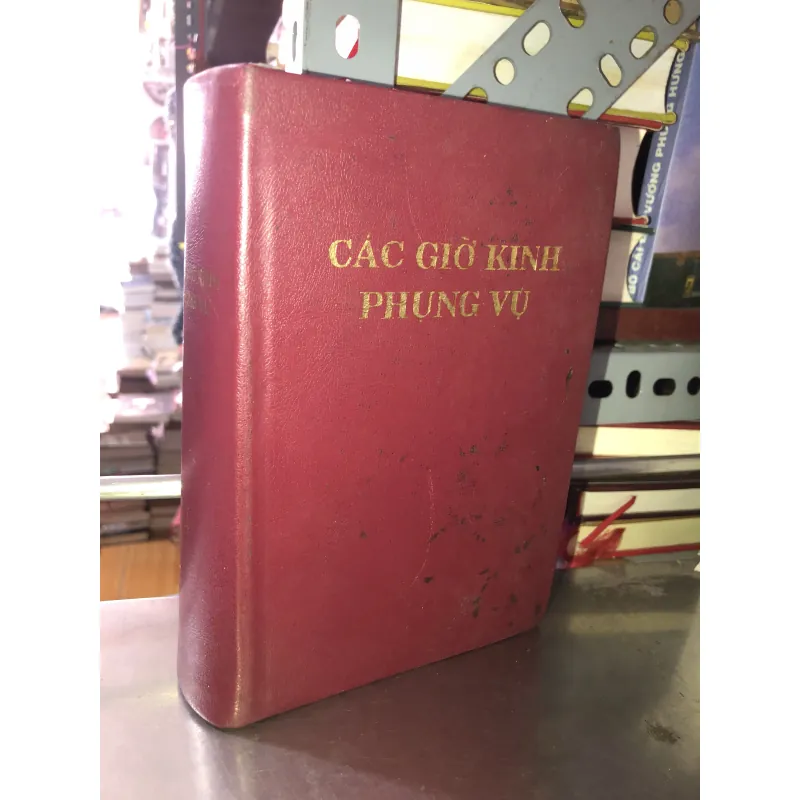 Các giờ kinh phụng vụ  1009771