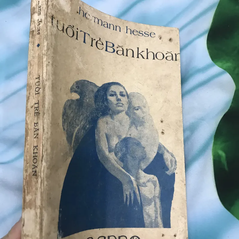 Tuổi trẻ băn khoăn - Hermann Hesse 591291