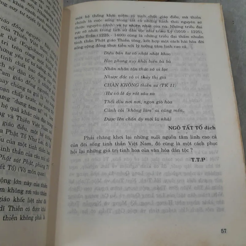TUỆ TRUNG THƯỢNG SĨ VỚI THIỀN TÔNG VIỆT NAM 279133
