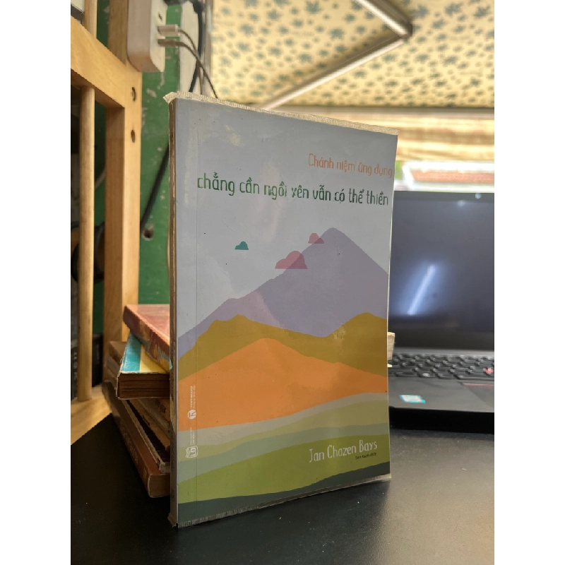 Chẳng Cần Ngồi Yên Vẫn Có Thể Thiền - Jan Chozen Bays 452424