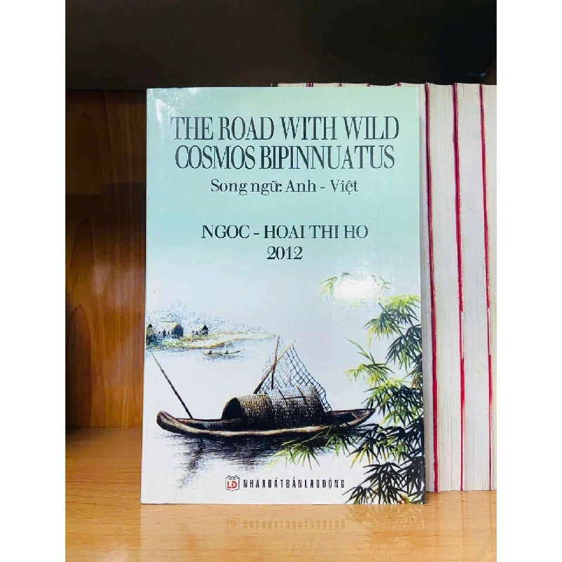 The road with wild cosmos bipinnuatus 725919