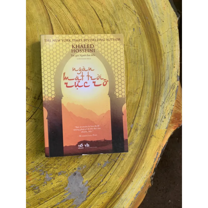 COMBO NGƯỜI ĐUA DIỀU & NGÀN MẶT TRỜI RỰC RỠ 745813