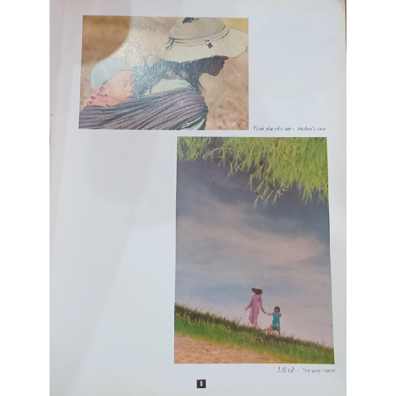 Ảnh Đỗ Ngọc 549408